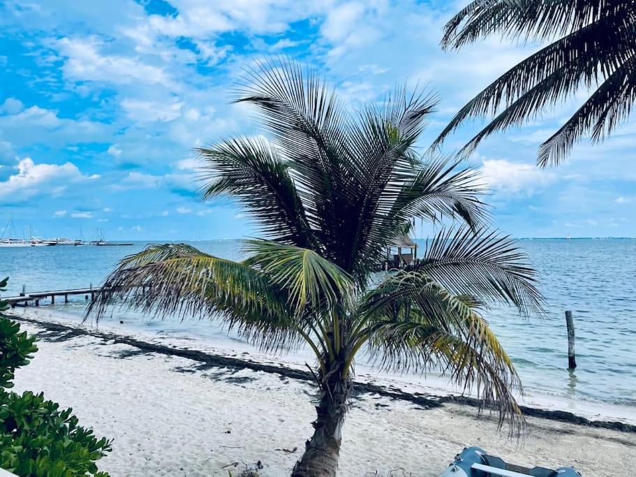 Punta Me Apartments With Nice Sea View & Beach Cancún Kültér fotó